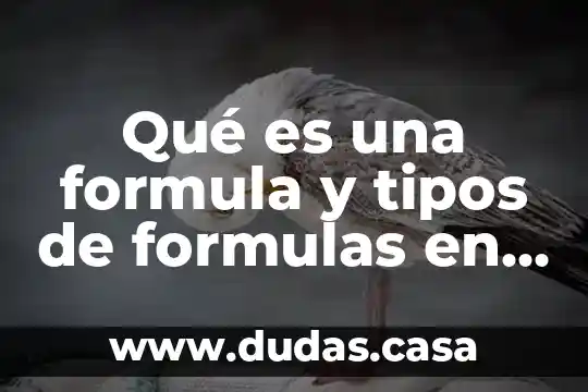 Qué es una formula y tipos de formulas en informática