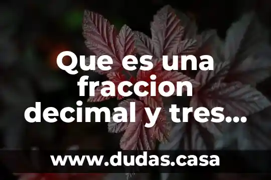 Que es una fraccion decimal y tres ejemplos