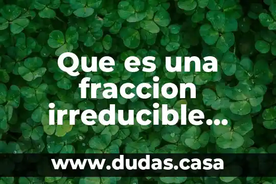 Que es una fraccion irreducible ejemplos