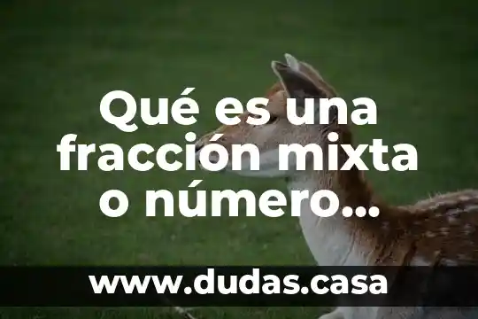 Qué es una fracción mixta o número mixto