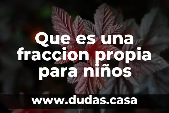 Que es una fraccion propia para niños
