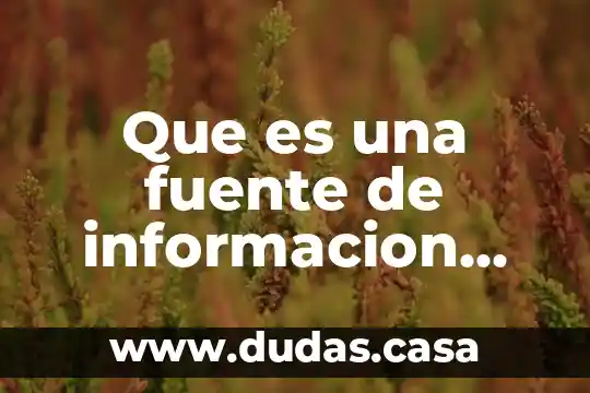 Que es una fuente de informacion sivernetica