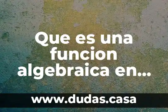 Que es una funcion algebraica en excel
