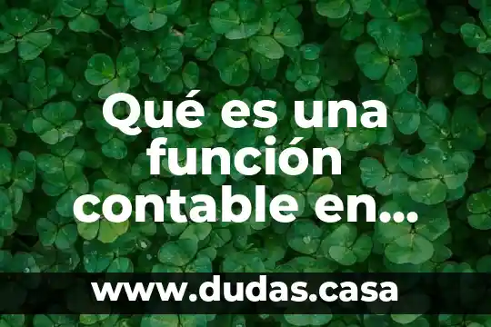 Qué es una función contable en finanzas