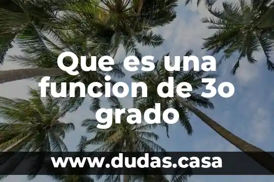 Que es una funcion de 3o grado