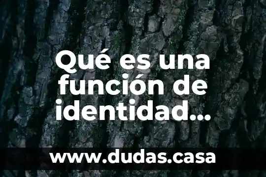 Qué es una función de identidad acumulativa