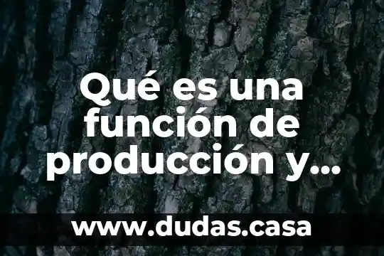 Qué es una función de producción y sus productos