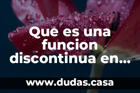 Que es una funcion discontinua en calculo diferencial definicion