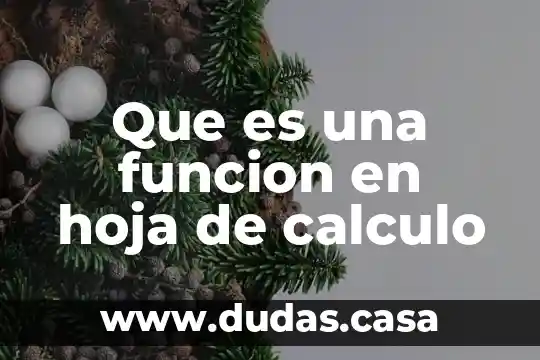Que es una funcion en hoja de calculo