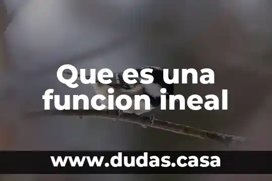 Que es una funcion ineal