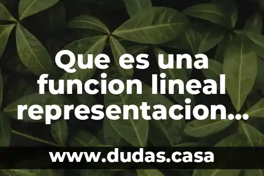 Que es una funcion lineal representacion grafica