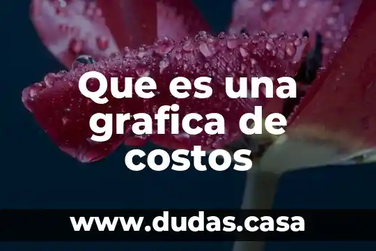 Que es una grafica de costos