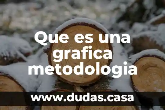 Que es una grafica metodologia