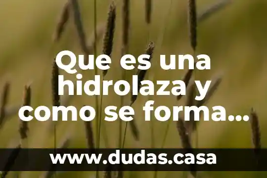 Que es una hidrolaza y como se forma quimica organica