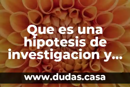 Que es una hipotesis de investigacion y funcion