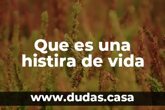 Que es una histira de vida