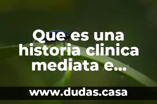Que es una historia clinica mediata e inmediata