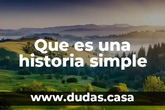 Que es una historia simple