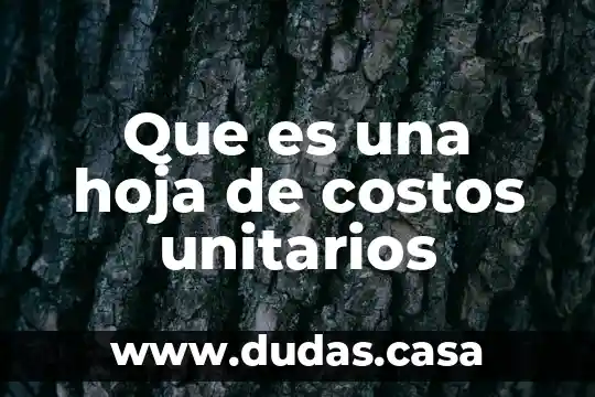 Que es una hoja de costos unitarios
