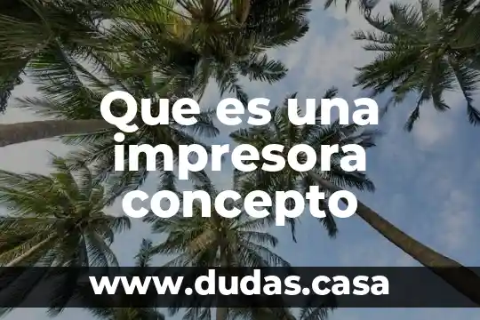 Que es una impresora concepto