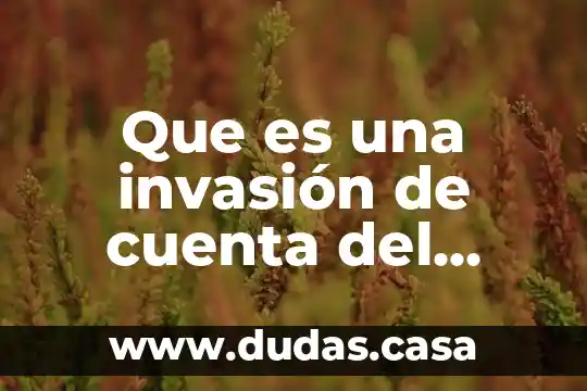 Que es una invasión de cuenta del imss