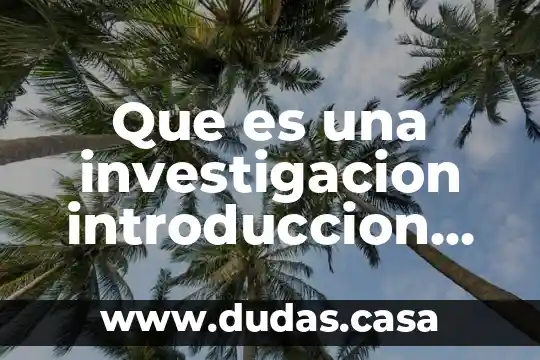 Que es una investigacion introduccion desarrollo y conclusion