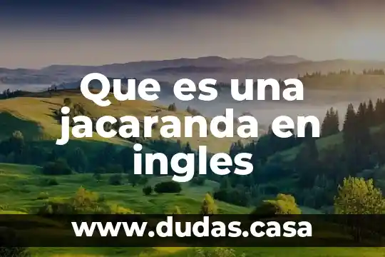 Que es una jacaranda en ingles