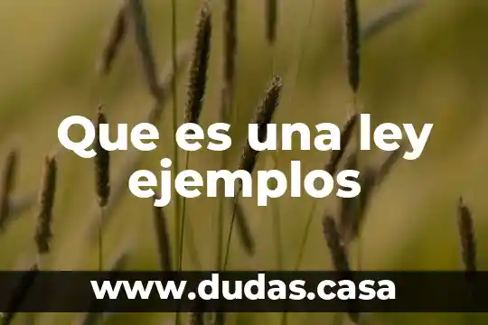 Que es una ley ejemplos