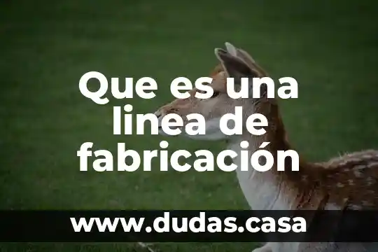 Que es una linea de fabricación