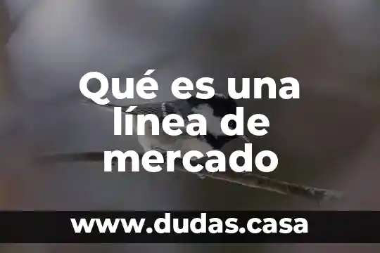 Qué es una línea de mercado