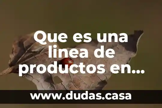 Que es una linea de productos en costos