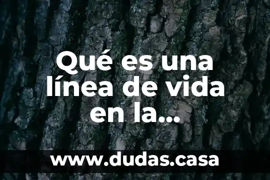 Qué es una línea de vida en la innovación tecnológica