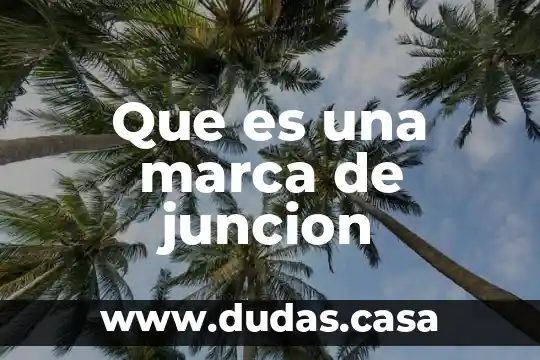 Que es una marca de juncion