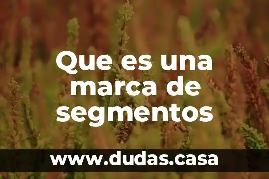 Que es una marca de segmentos
