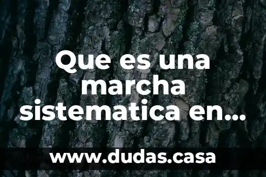 Que es una marcha sistematica en analisis cualitativo