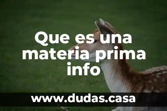 Que es una materia prima info
