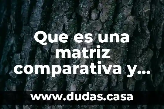 Que es una matriz comparativa y como se hace