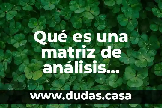 Qué es una matriz de análisis definición