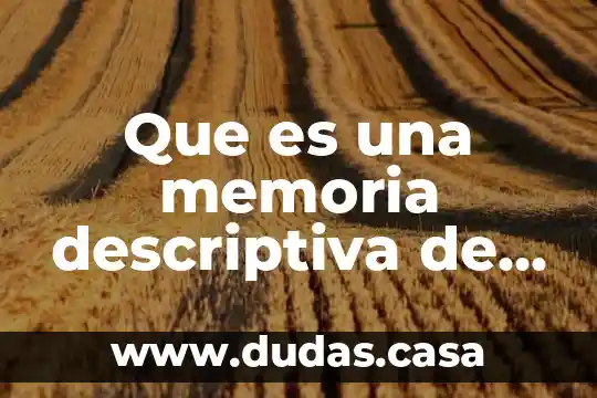 Que es una memoria descriptiva de un proyecto ejecutivo