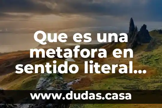 Que es una metafora en sentido literal ejemplo