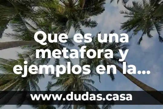 Que es una metafora y ejemplos en la adivinanza