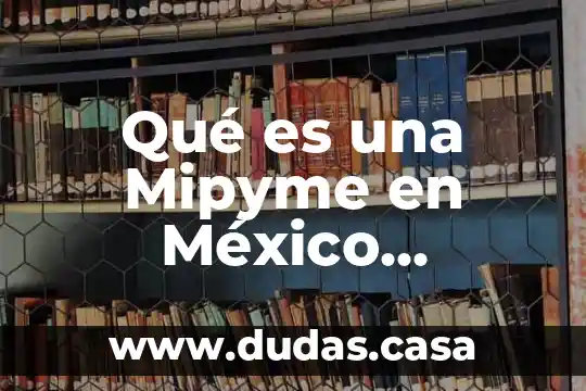 Qué es una Mipyme en México concepto