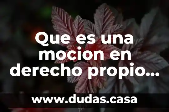 Que es una mocion en derecho propio al tribunal