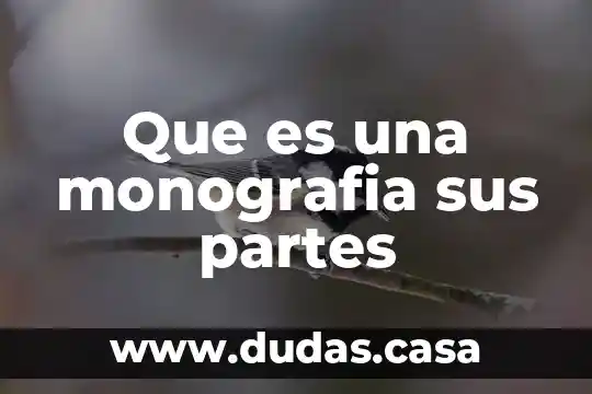 Que es una monografia sus partes