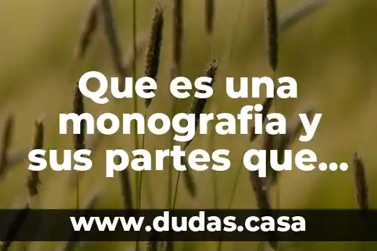 Que es una monografia y sus partes que la integran