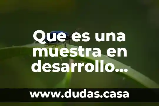 Que es una muestra en desarrollo organizacional
