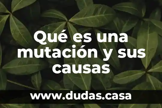 Qué es una mutación y sus causas