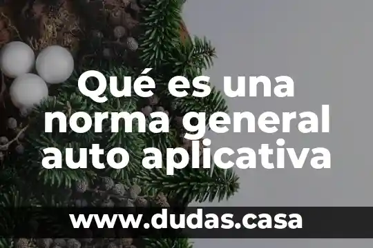 Qué es una norma general auto aplicativa