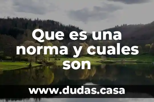 Que es una norma y cuales son