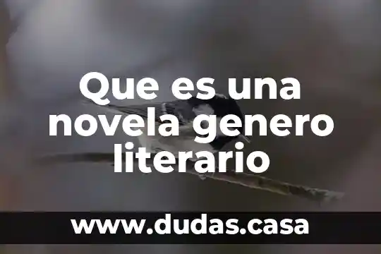 Que es una novela genero literario